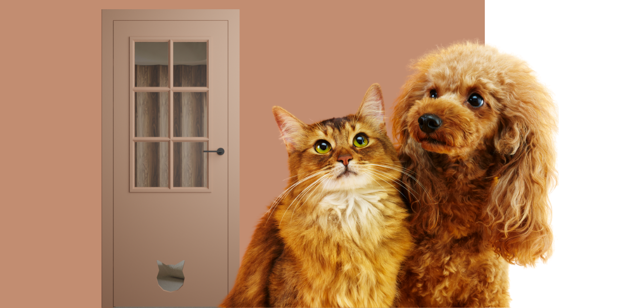 Drzwi dla zwierząt (1)